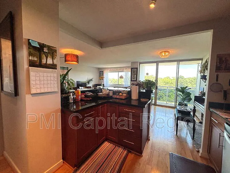 7333 New Hampshire Ave #Penthouse 09-S — Photo 10