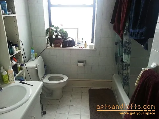 Rented by aptsandlofts.com | media 15