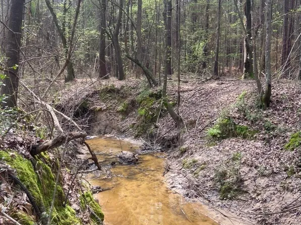 Highway 43, Atlanta, TX 75551