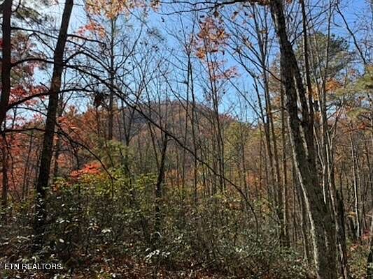 2nd image of PARCEL 53-050.00 Obes Branch Rd