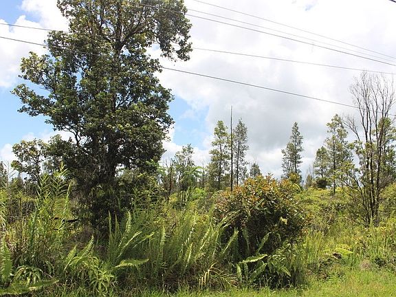 3rd image of Plumeria St Lot 6468