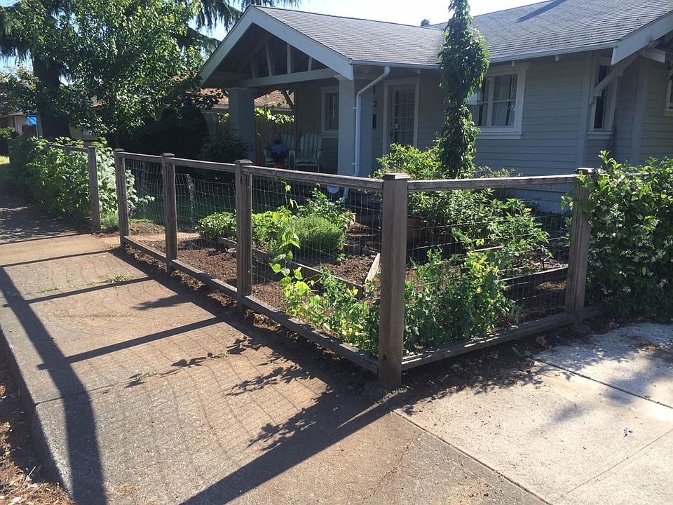 Front yard