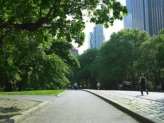 Rented by Luxian International Realty LLC | media 86