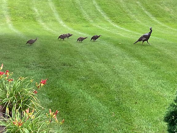 5th image of 3177 Lakecrest Rd NE