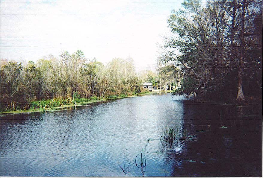 Withlachookee River inlet