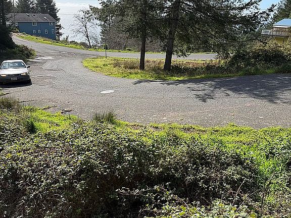 Native Flora on 19 Vista Dr