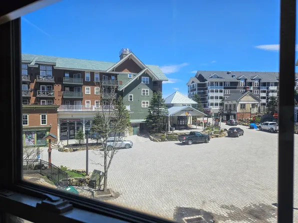 221 Rimfire Ldg, Snowshoe, WV 26209