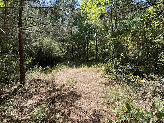3rd image of County Road 4502