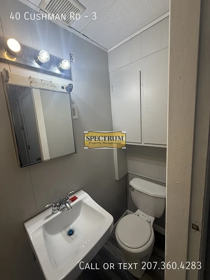 1 bed, $950 — Photo 4