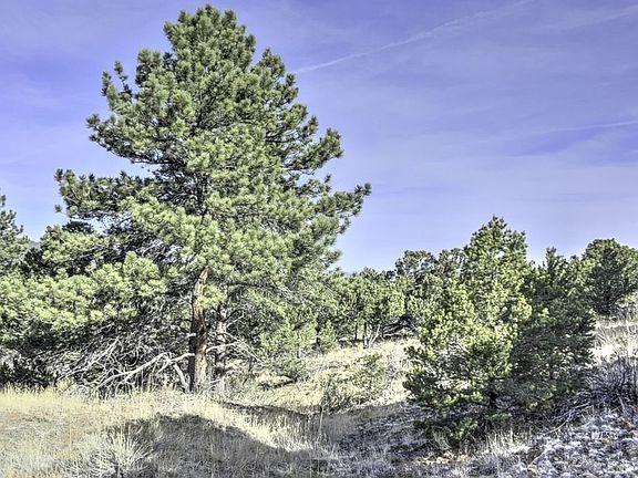 2nd image of 279 Knoll Top Cir