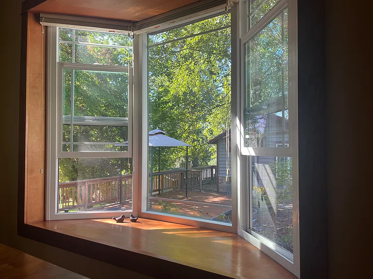 Window sill in the kitchen overlooking the backyard