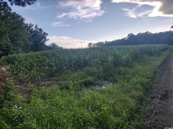TBD Beaver Rd., Hemingway, SC 29554