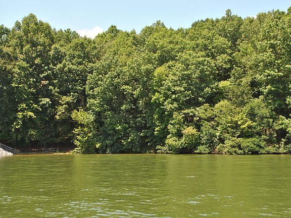 3rd image of Oakshire Ln Lot 13