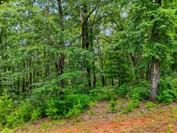 11 Weeks Rd, Ellijay, GA 30540