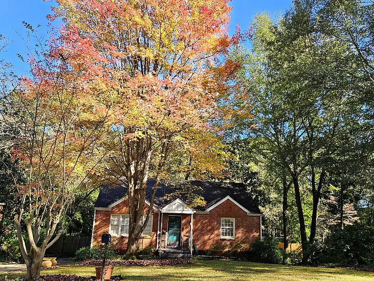 Front yard with beautiful maple in Autumn
