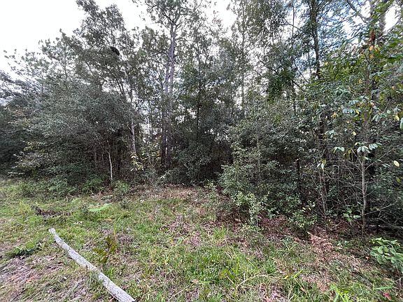 2nd image of 6295 Bowdoin Avenue