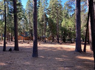 3526 Pocatello Cir, Camp Connell, CA