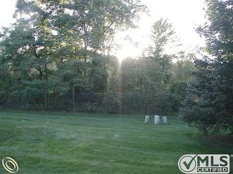 Wooded area