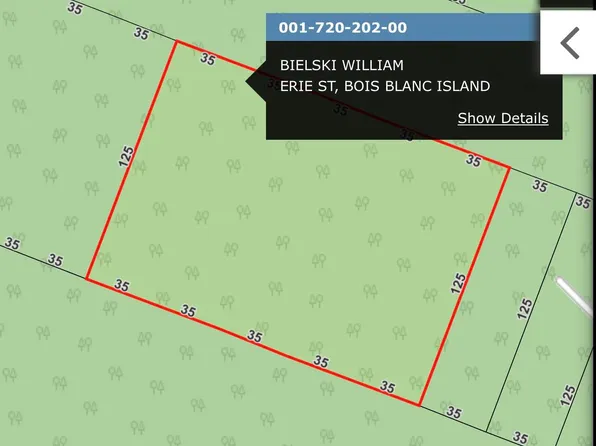720202 Erie St, Pointe Aux Pins, MI 49775