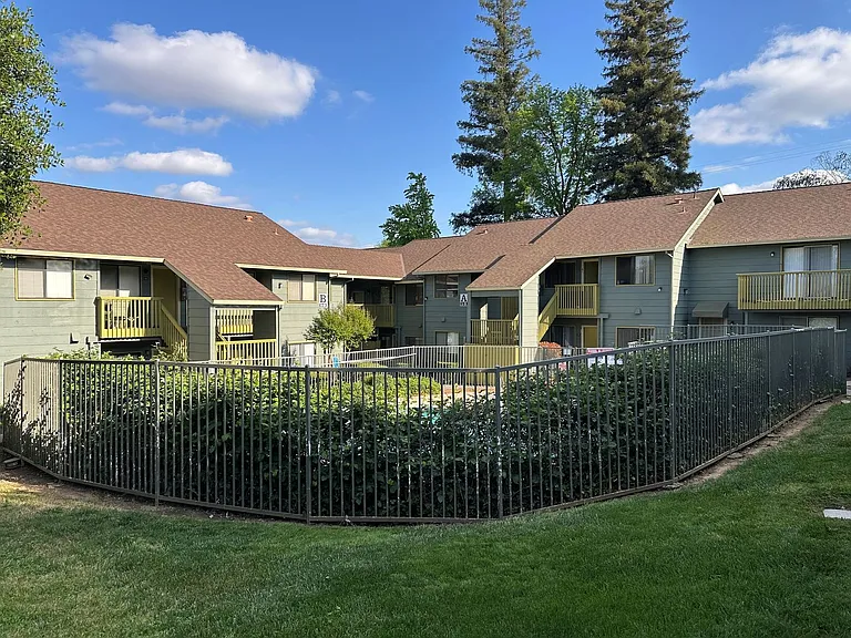 Olive Glen — Photo 9