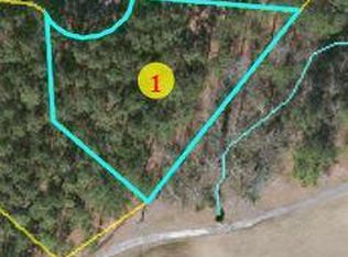 28 Forest Fern Ct, Wagram, NC 28396