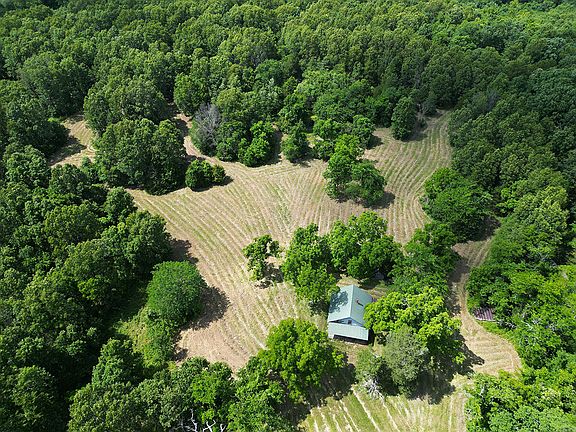 3rd image of 00 Forest Road 7989