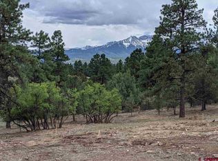 126 Marmot Dr UNIT S, Ridgway, CO 81432