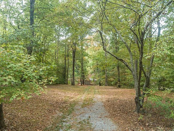 2nd image of ST Tammany Lot 43
