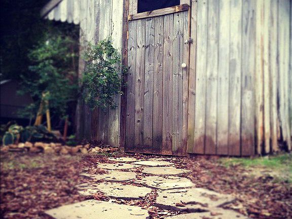 Shed