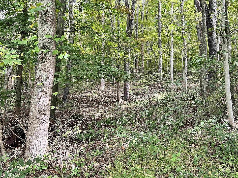 0 Tbd Vine Street St, Grafton, WV 26354 Zillow