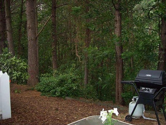 Wooded Backyard, Quiet and Private