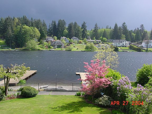 deck view, storm with Dogwood in bloom