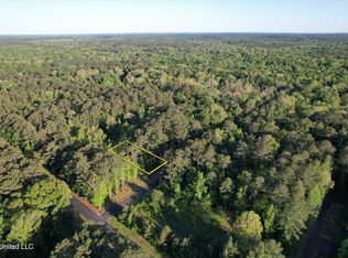 Donna Ashley St Lot 696, Brandon, MS