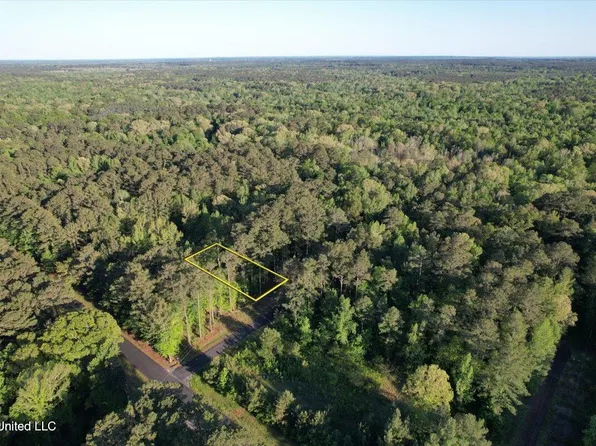 Donna Ashley St Lot 696, Brandon, MS 39042