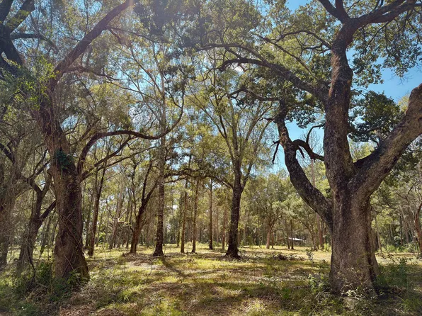 10 Nelson Rd, Poplarville, MS 39470