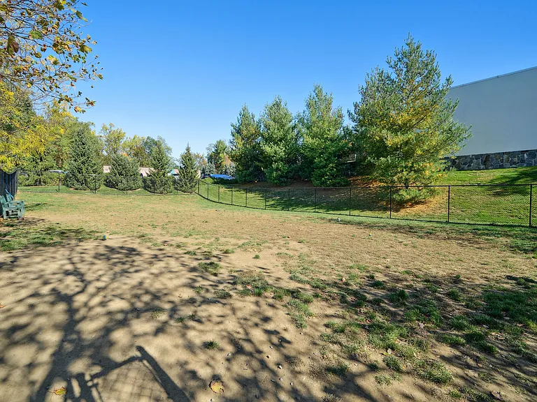 Dog park