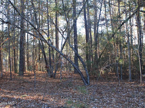 2nd image of 30080 Loblolly Court LOT 46
