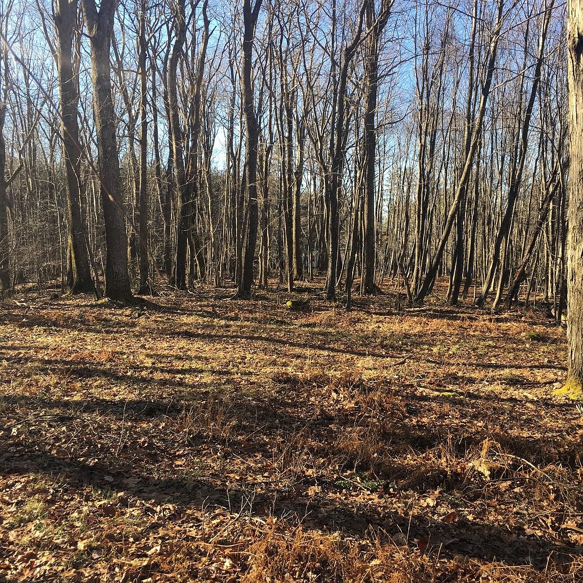 33 Rinard Ave LOT 32, Beltsville, MD 20705 Zillow