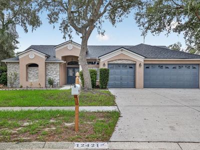 12421 WINDSWEPT AVENUE, Riverview, FL, 33569