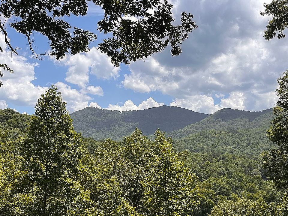 View from Deck
