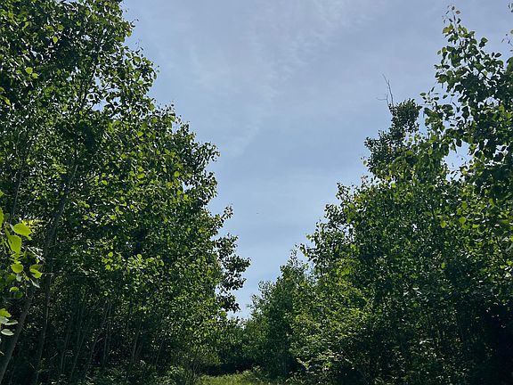 5th image of Chalk Hills Rd