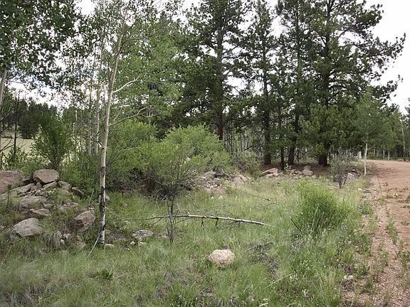4th image of 193 Mount Powderhorn Ln