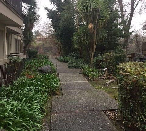 3rd image of 915 Lakeside Dr APT 1