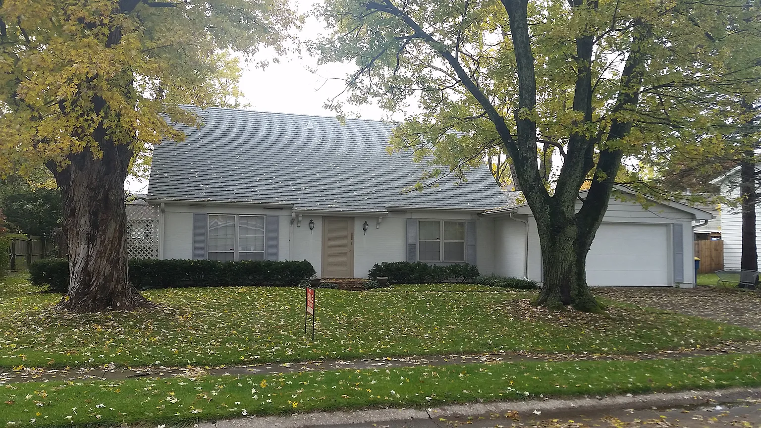 825 College Way photo 1