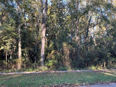 74 Chestnut Ave, Denmark, SC, 29042