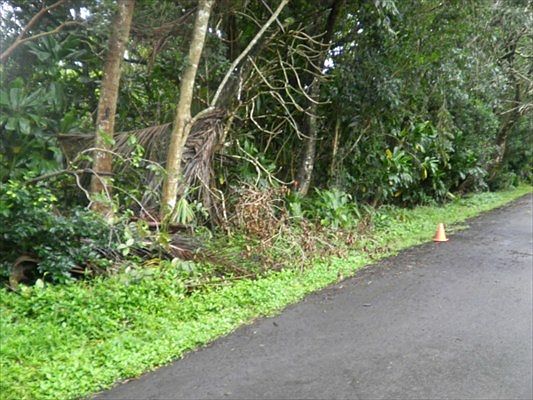 2nd image of Mauka Nui Pl