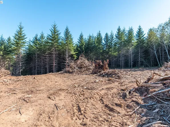 Orion Rd, Longview, WA 98632