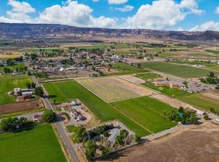 1369-13 3/10 Rd, Loma, CO 81524