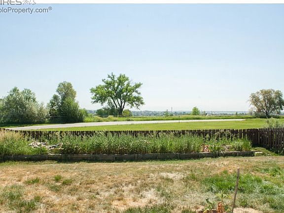 Backyard view
