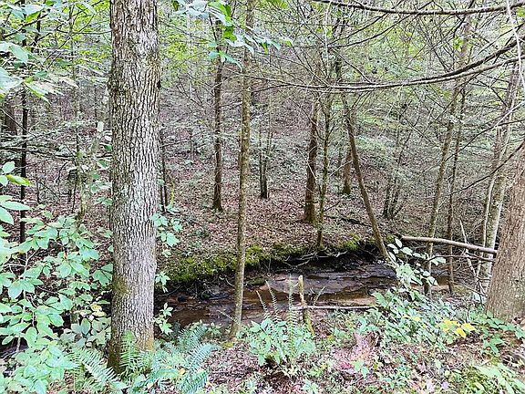 4th image of 0 Jake Wireman Fork Rd